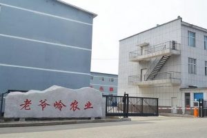 00老爷岭 00老爷岭